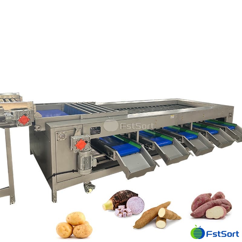 images/1764734354579potato sorting 2.jpg